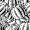 Black and White Pumpkins